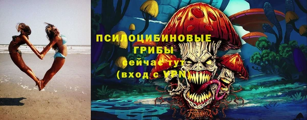 ГАЛЛЮЦИНОГЕННЫЕ ГРИБЫ Алексеевка